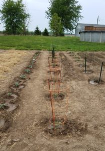 2018 05 12 09.08.16 e1526165298180