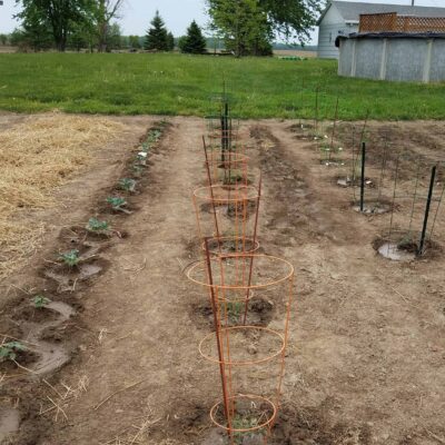 Gardening on the Farm - Spring 2018