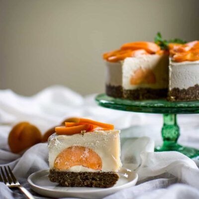 the old chokecherry tree (and raw apricot cheesecake)