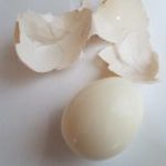 instant pot eggs - easy peeled egg with whole shell intact