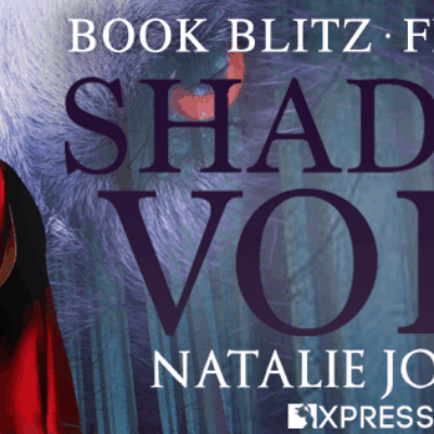 Review: Shadow's Voice