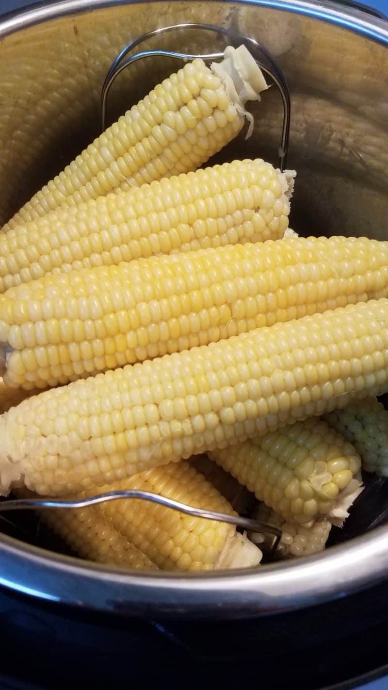 Sweet corn sunday corn in a pot