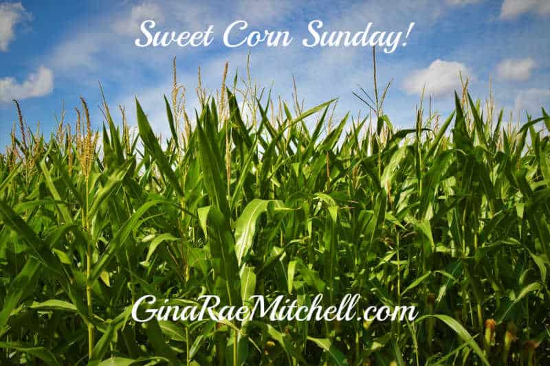 Sweetcorn Sunday Sweet Corn Sunday | Freeze Fresh Corn For Winter | Gina Rae Mitchell
