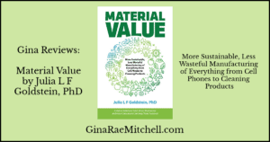 Review: Material Value by Julia Goldstein