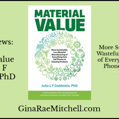 Review: Material Value by Julia Goldstein