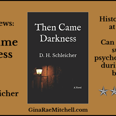 Review: Then Came Darkness by D. H. Schleicher