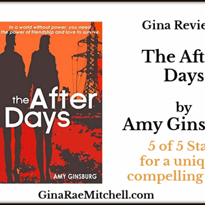 Review: The After Days by Amy Ginsburg