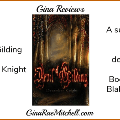 Review: Devil of Gilding by December Knight