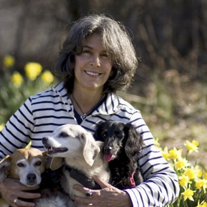 Kay Pfaltz Author Photo