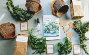 Friday Finds | June 26, 2020 Leafy Greens Seed Kit