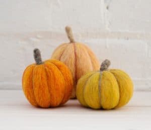 Needle Felted Pumpkins Kit - September 25, 2020