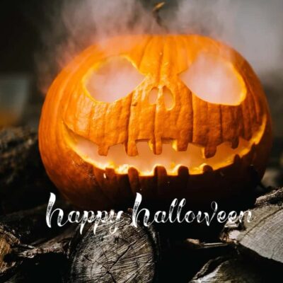 Friday Finds - October 30, 2020