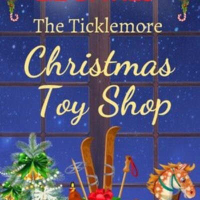 The Ticklemore Christmas Toy Shop by Liz Davies