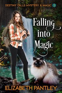 Book Cover - Falling Into Magic by Elizabeth Pantley