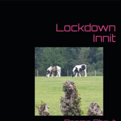 Lockdown Innit: Poems About Absurdity by M J Mallon