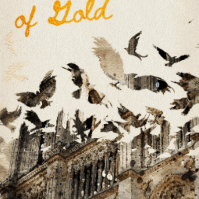 The Measure of Gold by Sarah C Patten