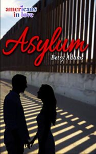 Asylum by Betsy Adams Book Cover image