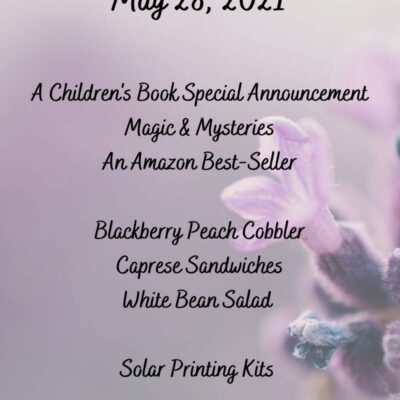 2021 Friday Finds May 28