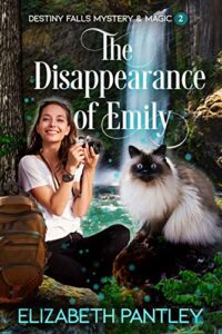 2021 Friday Finds May 28 -The Disappearance of Emily by Elizabeth Pantley Book cover image