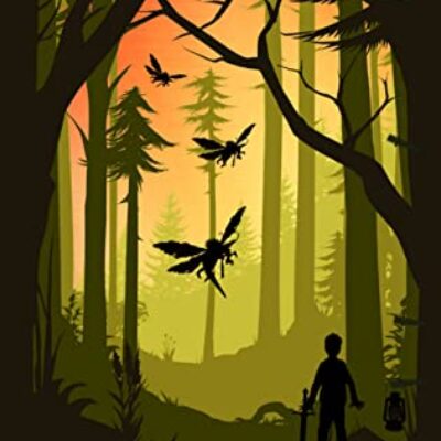 The Mostly Invisible Boy by AJ Vanderhorst | Review