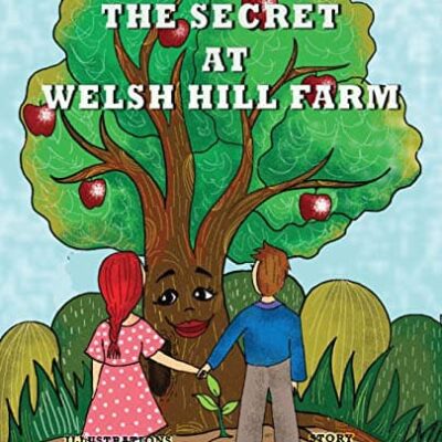 The Secret at Welsh Hill Farm | Review