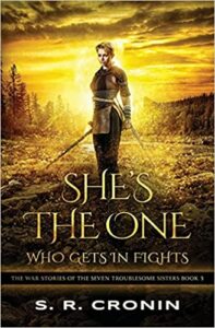 She's the One Who Gets in Fights by S. R. Cronin book image