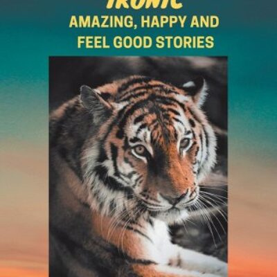 Funny and Ironic by Marco Di Noia | Spotlight