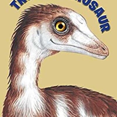 Trygg the Dinosaur by Paula Louise Salvador | Review, $10 Giveaway, Excerpt