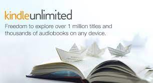 Kindle Unlimited book w paper boats image used in Partner Pursuit