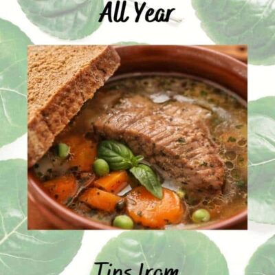 Use Your Slow Cooker All Year 