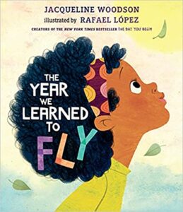 The Year We Learned to Fly by Jacqueline Woodson book cover image