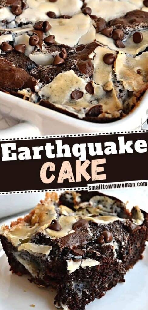 Earthquake Cake by smalltownwoman image