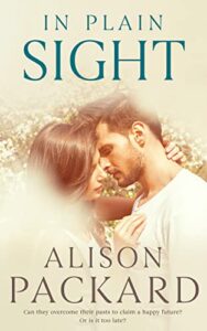 In Plain Sight Book cover image