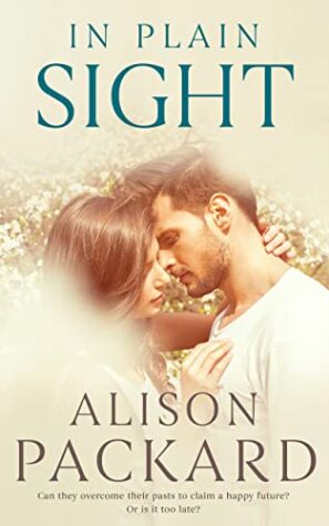 In Plain Sight by Alison Packard | $10 Giveaway & Excerpt Tour