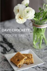 Davy Crockett Cookie Bars by Hattie Makes Three image cookies & vase of flowers