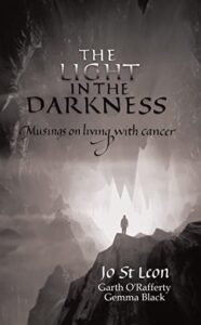 The Light in the Darkness by Jo St Leon book cover image