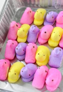 Peeps in a Pan image for 8 April 2022