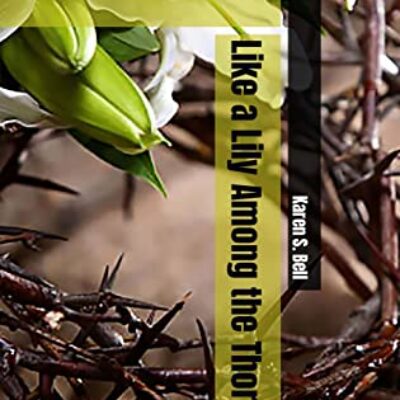 Like A Lily Among the Thorns by Karen S Bell | $25 Giveaway, Review, & Excerpt