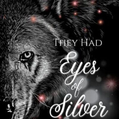They Had Eyes of Silver by S E Davis | $30 Giveaway, Excerpt, & Spotlight Tour | #ParanormalRomance #THEOSNovel