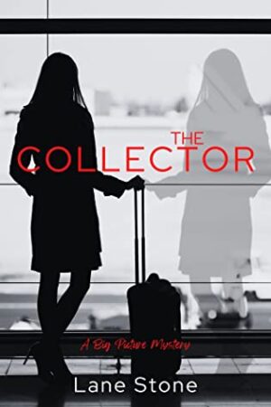 The Collector by Lane Stone (The Big Picture Trilogy #1) | $10 Starbucks Card Giveaway, Excerpt, & Book Info