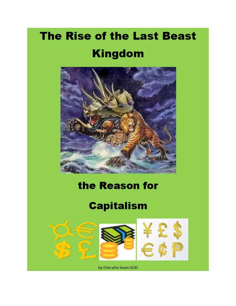 The Rise of the Last Beast Book Cover