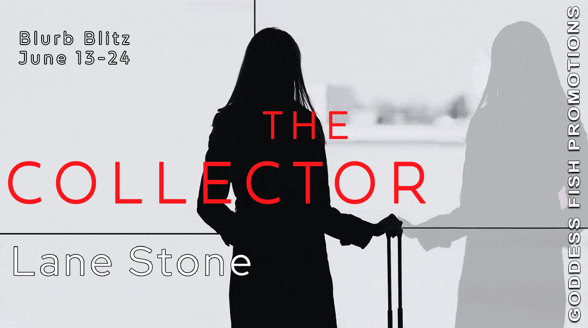 The Collector by Lane Stone (The Big Picture Trilogy #1) | $10 Starbucks Card Giveaway, Excerpt, & Book Info