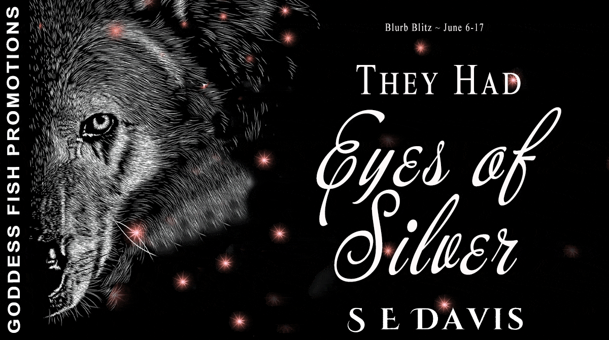 They Had Eyes of Silver by S E Davis | $30 Giveaway, Excerpt, & Spotlight Tour | #ParanormalRomance #THEOSNovel