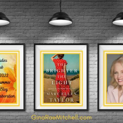 The Brighter the Light by Mary Ellen Taylor | 4.5 Star Book Review | #FamilySecrets #DualTimeLine