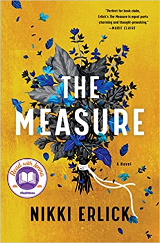 The Measure by Nikki Erlick book cover image