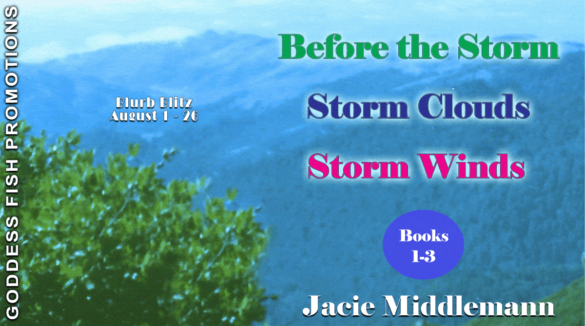 Home to Clare Harbor Boxset (Books 1-3): Before the Storm, Storm Clouds, & Storm Winds by Jacie Middleman | Spotlight, Excerpt, & $50 Giveaway