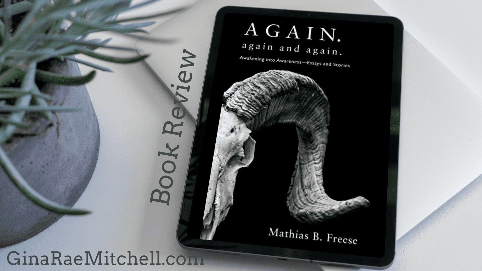 Again. Again and Again: Awakening into Awareness--Essays and Stories by Mathias B. Freese | Book Review