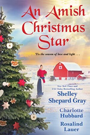 An Amish Christmas Star by Charlotte Hubbard etal | Excerpt Tour and $15 Giveaway | Sweet Romance