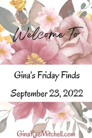 23 September 2022 Friday Finds! Books, Author News, Fall Dinners and Cute Halloween Owl Ornaments