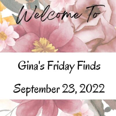 23 September 2022 Friday Finds! Books, Author News, Fall Dinners and Cute Halloween Owl Ornaments